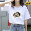 猫咪开窗