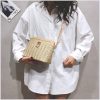 夏天上新仙女包包女2024新款潮韩版斜挎包单肩贝壳简约包pp编织